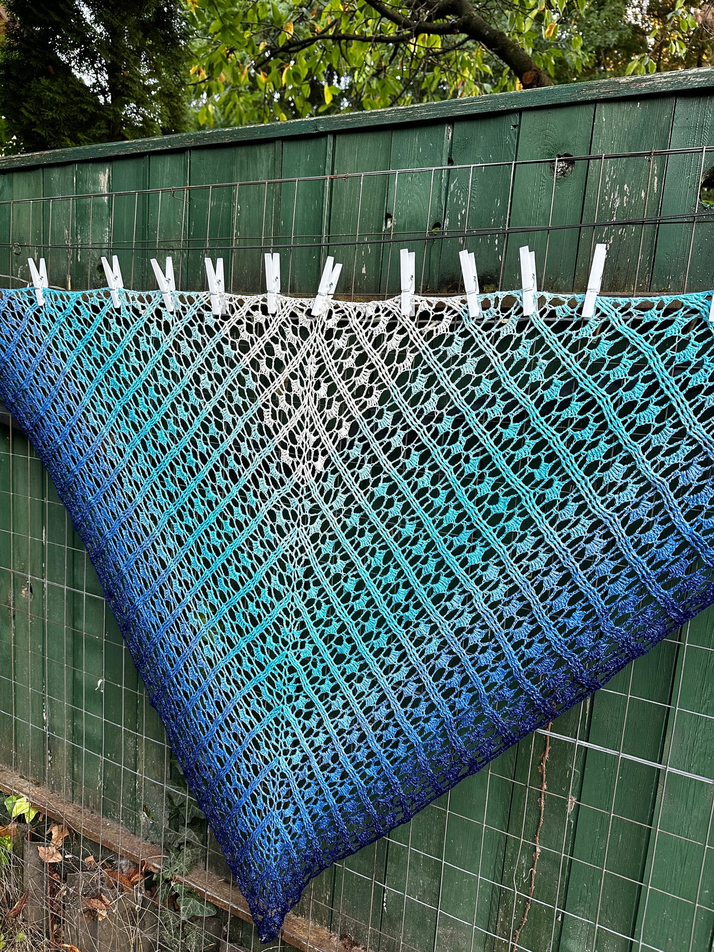 Blue rose shawl