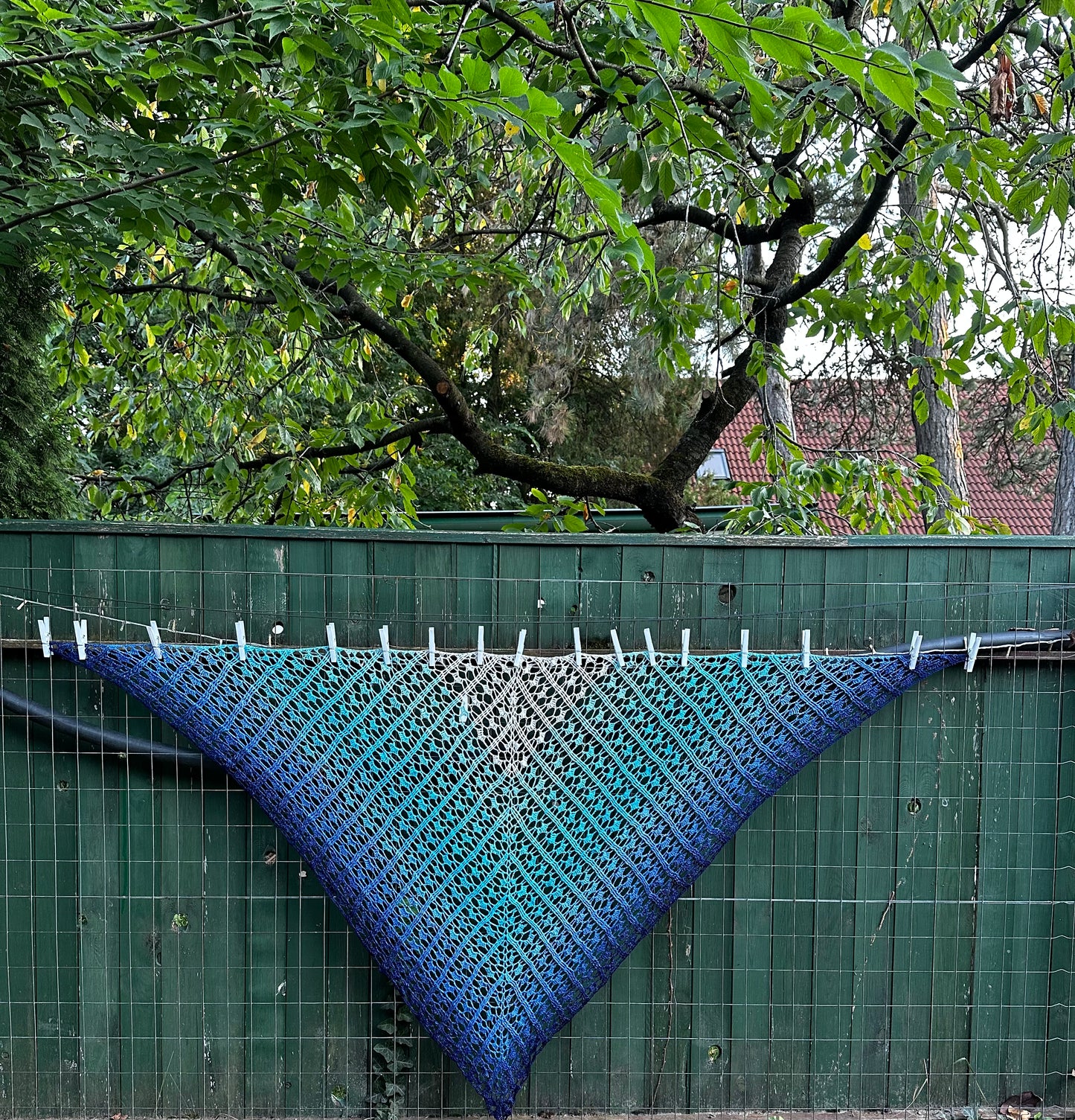 Blue rose shawl